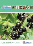 Crop Module: Fruit (bush)