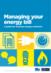 `Managing Your Energy Bill` Guide as a pdf document.