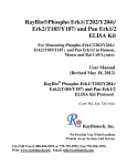 RayBio®Phospho Erk1(T202/Y204)/ Erk2(T185/Y187) and Pan Erk1