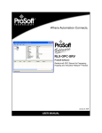 RLX OPC Server User Manual