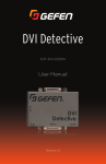 DVI Detective