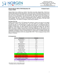 Plasma-Serum HSV-2 PCR Detection Kit - Protocol