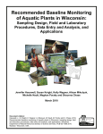 Recommended Baseline Monitoring of Aquatic Plants in Wisconsin