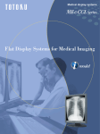 Flat Display Systems for Medical Imaging