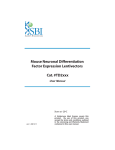 Neuronal Transdifferentiation Factor User Manual