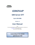 DTT Sim Server User manual