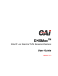 DnsMux User Manual 1.0.3 PDF