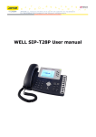 WELL -T28 User Manual-V60.0