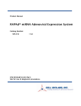 RAPAd® miRNA Adenoviral Expression System
