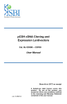 pCDH cDNA Cloning and Expression Lentivectors