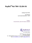RayBio Rat TIM-1 ELISA Kit