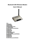 Bluetooth 56K Wireless Modem User`s Manual