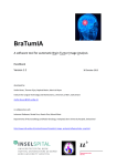 BraTumIA 1.2 handbook