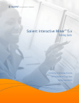 Salient Interactive Miner™ 5.x