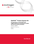 OptiCHO Protein Express Kit