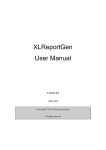 XLReportGen User Manual