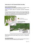 Instructions for the Citywide Hillside Area Map