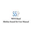 WIVI Band Sound Set User Manual