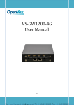 VS-GW1200-4G User Manual
