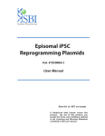 Episomal iPSC Reprogramming Plasmids