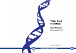 Total RNA Isolation
