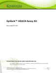EpiQuik™ HDAC8 Assay Kit