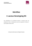 identibac S. aureus Genotyping Kit