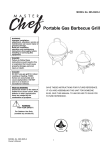 Portable Gas Barbecue Grill