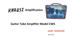 Amplification Guitar Tube Amplifier Model CW5 user manual
