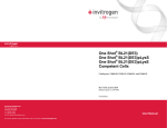 One Shot BL21(DE3) - Thermo Fisher Scientific