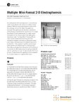 Multiple Mini-Format 2-D Electrophoresis using SE 600 Standard