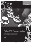 iTube 202 Valve Amplifier