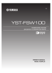 YST-FSW100 - Vanden Borre