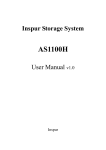 Inspur AS1100H User Manual