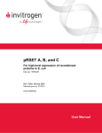 Map of pRSET A, B, and C - Thermo Fisher Scientific