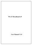 WLAN Broadband AP User Manual V1.0