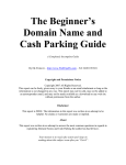 The Beginner`s Domain Name and Cash Parking Guide