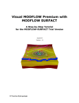 MODFLOW Surfact Tutorial