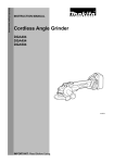 User Manual for DGA454