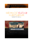 Intimate Guitar Auditorium