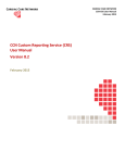 CCN Custom Reporting Service (CRS) User Manual Version 8.2