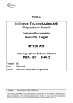 CC EAL5+ Certification Security Target