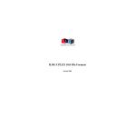 ILOG CPLEX 10.0 File Formats