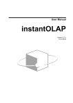 instantOLAP Manual 2.7