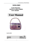 Pixie Princess Flash User Manual