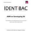 AMR-ve Genotyping Kit - Alere Technologies GmbH
