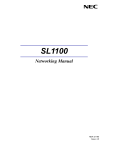 SL1100 Networking Manual - NEC SL1100 Distributors