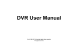 DVR User Manual