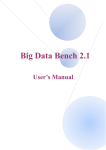 User_Manual for Big Data Bench 2.1
