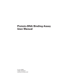 Protein-DNA Binding Assay User Manual